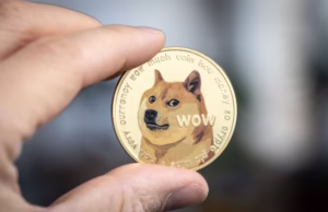 Dogecoin: History, Launch, and Evolution